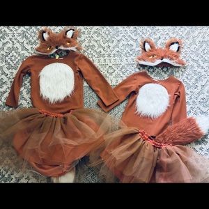 Fox burn orange /white